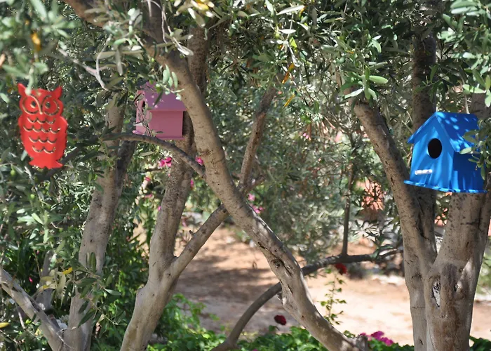 Lacivert Boutique Hotel 4*