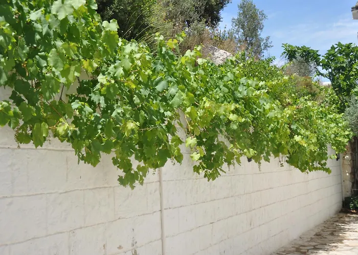 Aparthotel Lacivert Boutique Hotel 4*